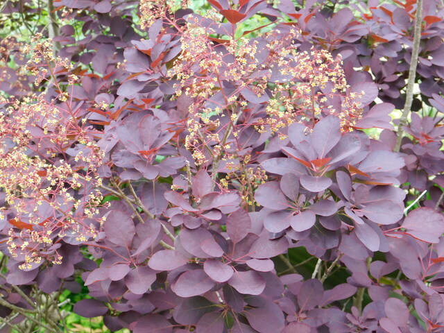 DSCN3554.JPG