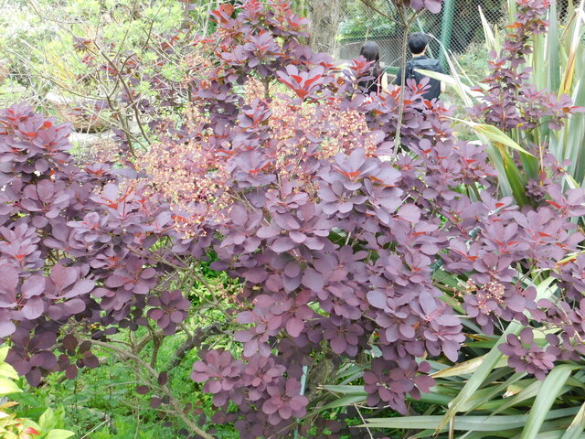 DSCN3557.JPG