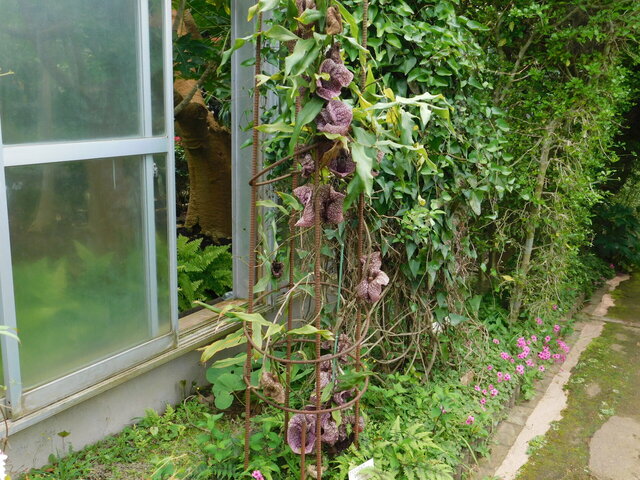 DSCN3559.JPG