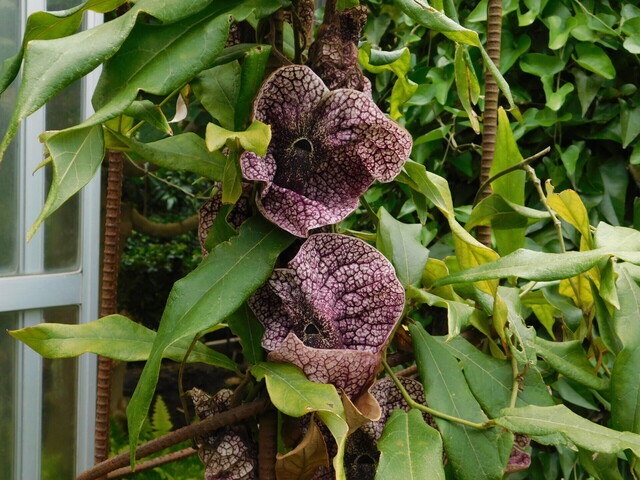 DSCN3561.JPG
