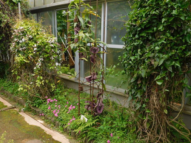 DSCN3563.JPG