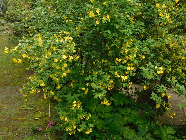 DSCN3565.JPG