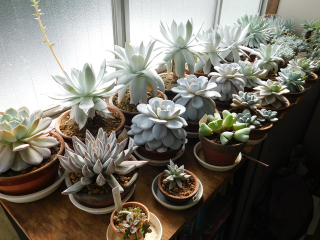 DSCN3569.JPG