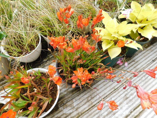 DSCN3618.JPG