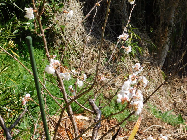 DSCN3619.JPG