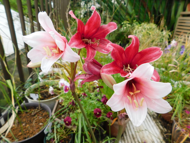 DSCN3622.JPG