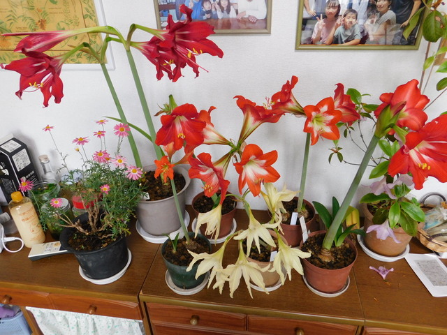 DSCN3626.JPG