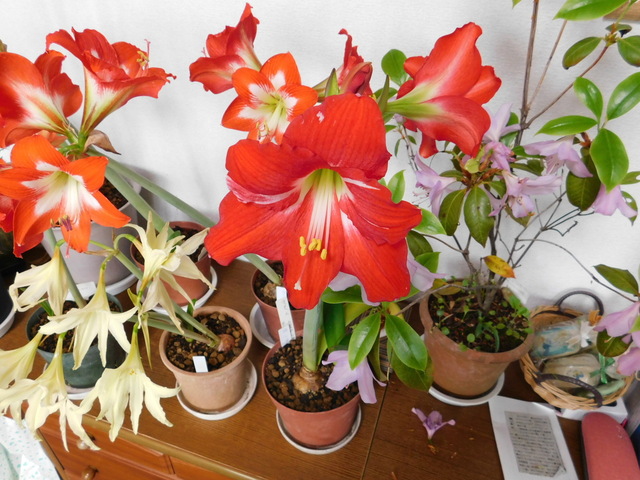 DSCN3628.JPG