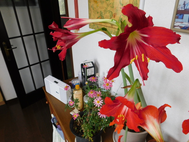 DSCN3630.JPG