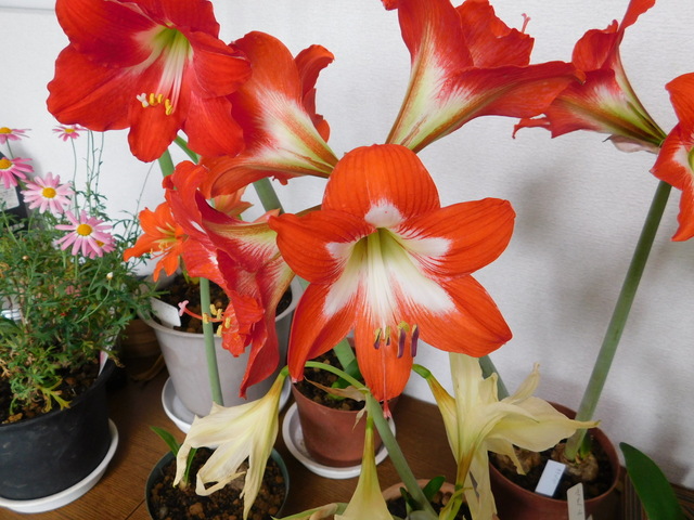 DSCN3632.JPG