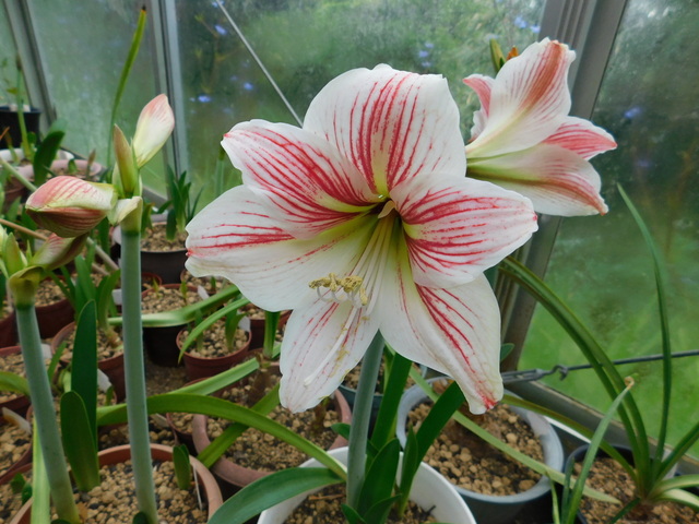DSCN3634.JPG