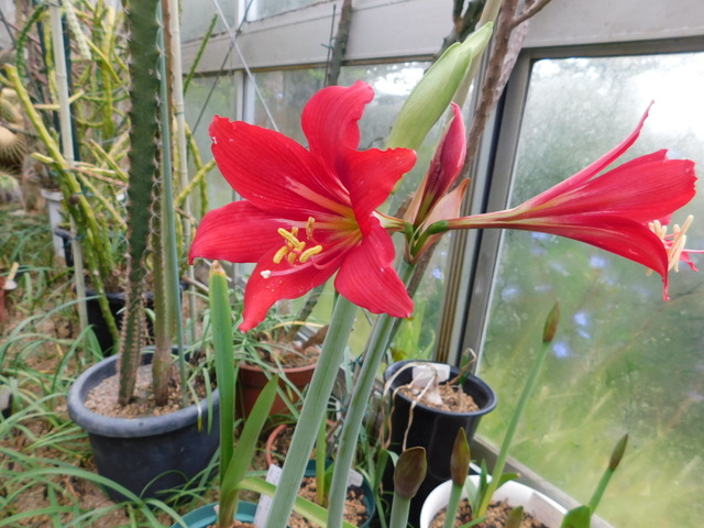 DSCN3635.JPG
