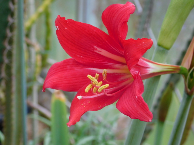 DSCN3637.JPG