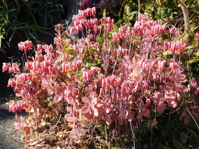 DSCN3641.JPG