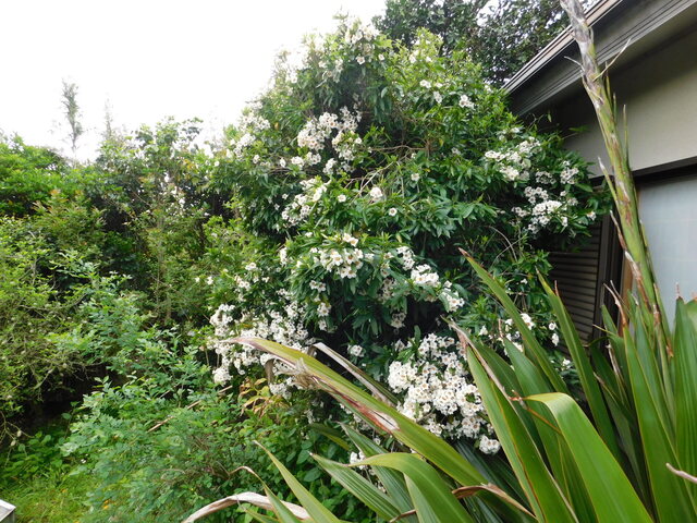 DSCN3650.JPG