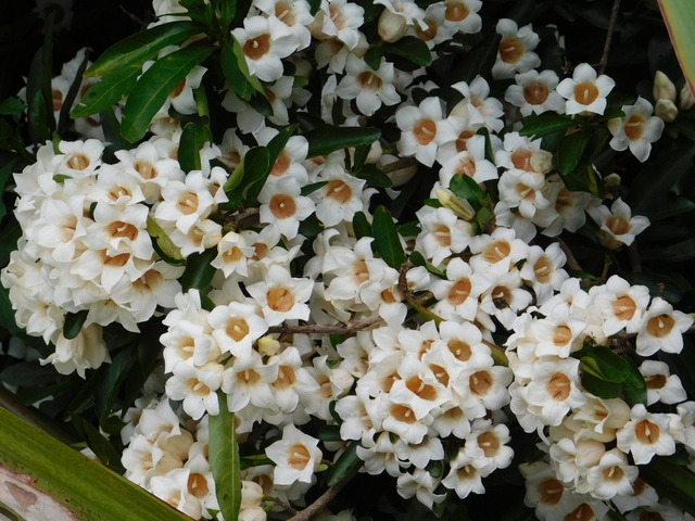DSCN3652.JPG
