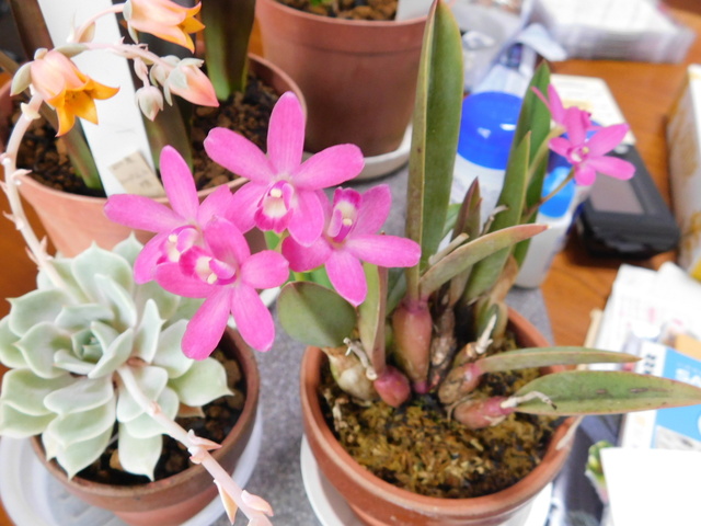 DSCN3655.JPG