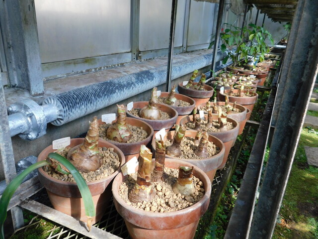 DSCN3715.JPG