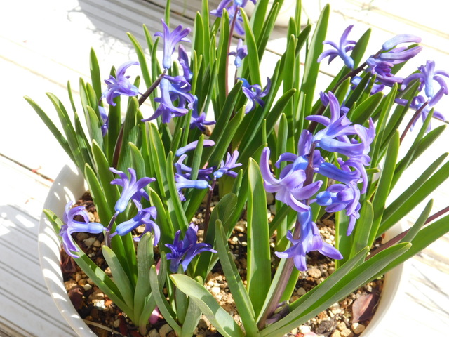 DSCN3723.JPG