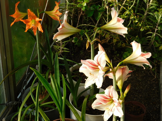DSCN3744.JPG