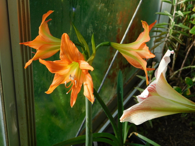 DSCN3748.JPG
