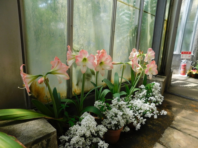 DSCN3752.JPG