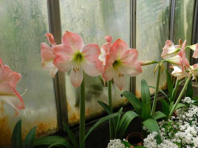 DSCN3754.JPG