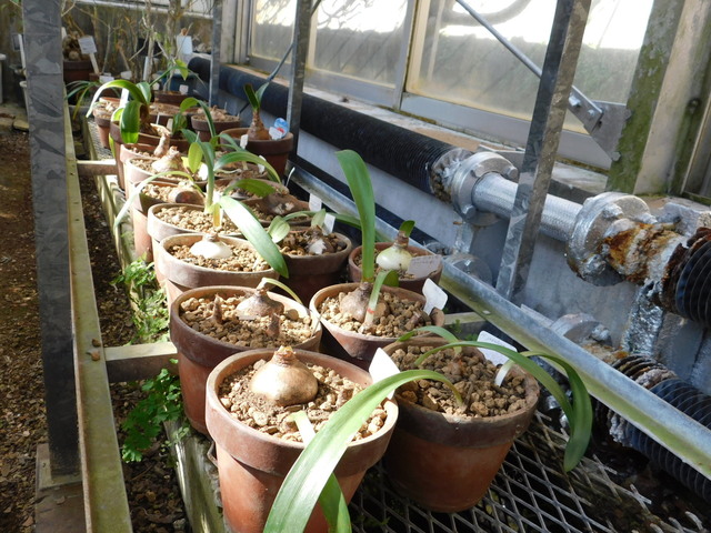 DSCN3755.JPG
