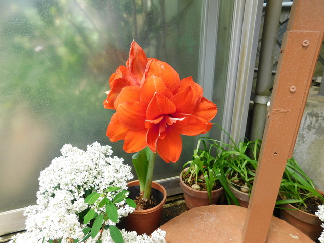 DSCN3756.JPG
