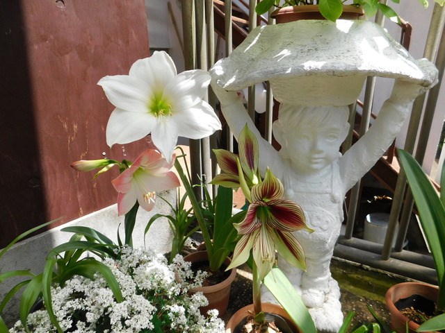 DSCN3758.JPG