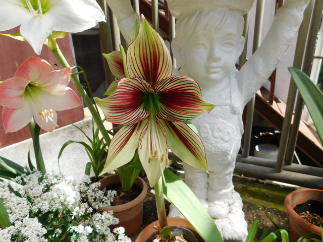 DSCN3760.JPG