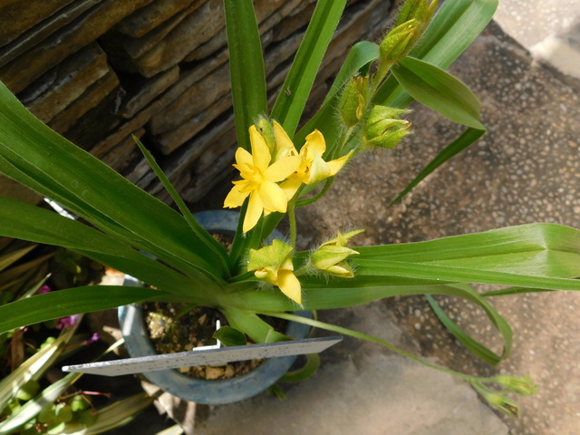 DSCN3764.JPG