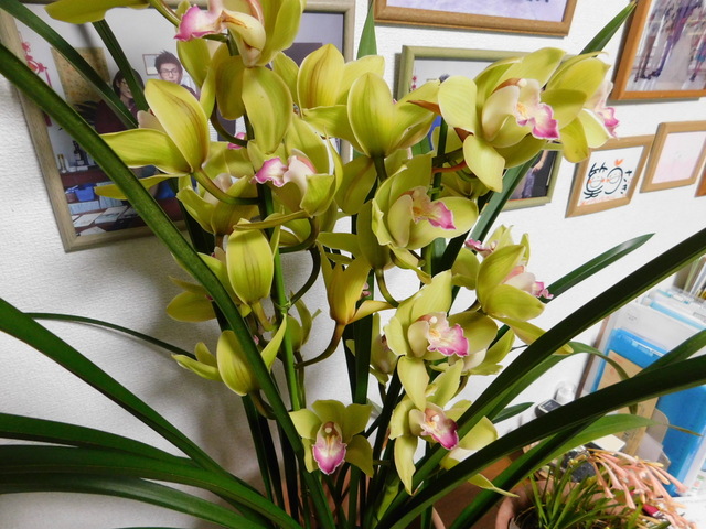 DSCN3768.JPG
