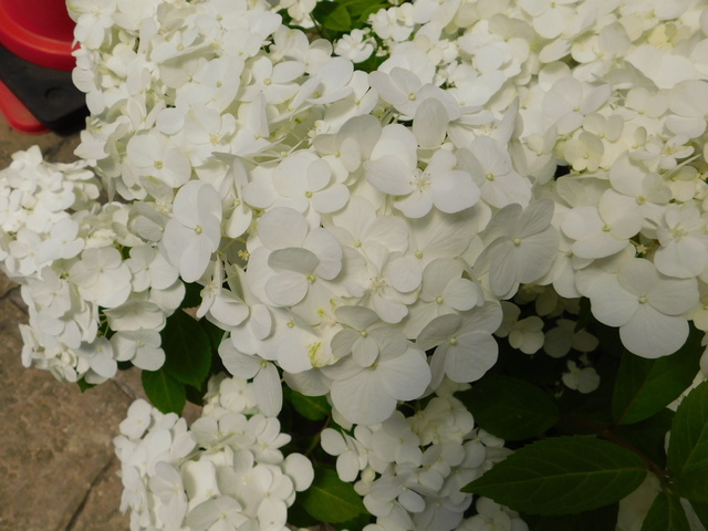 DSCN3769.JPG