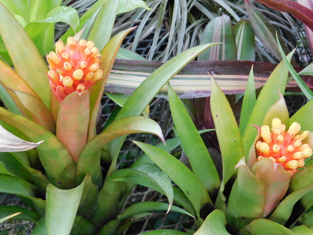 DSCN3793.JPG