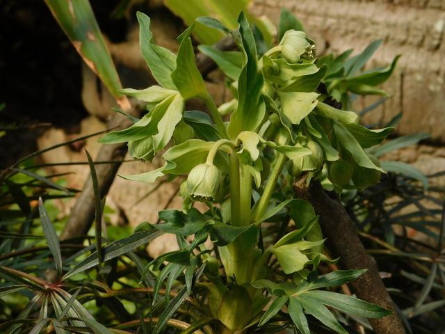 DSCN3801.JPG