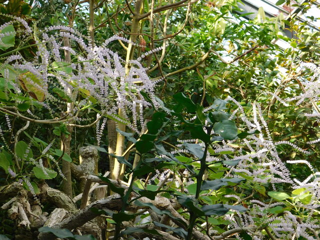 DSCN3806.JPG
