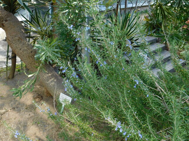 DSCN3828.JPG
