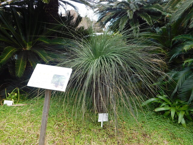 DSCN3983.JPG