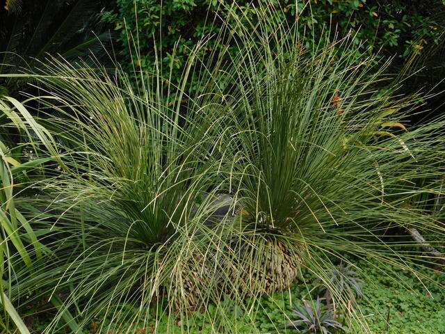 DSCN3985.JPG