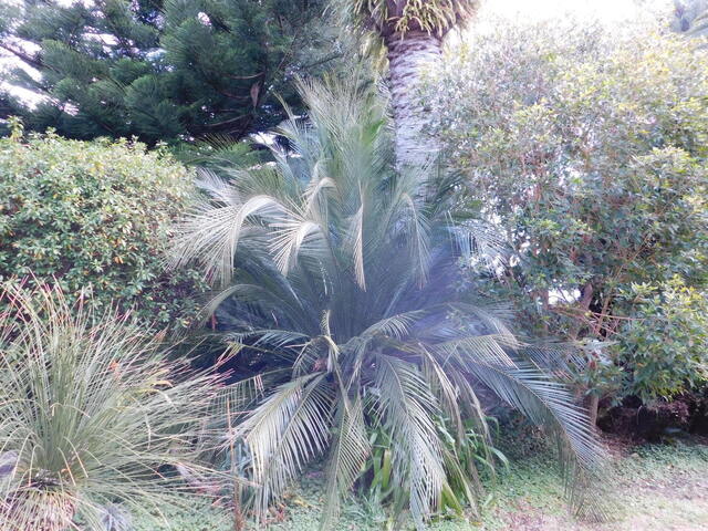 DSCN3990.JPG