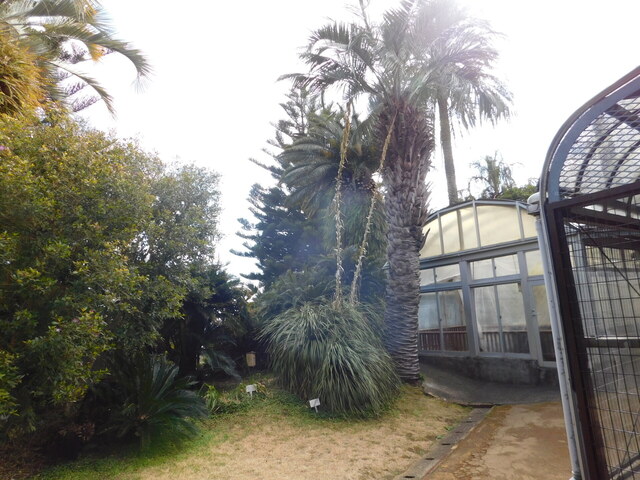 DSCN3992.JPG