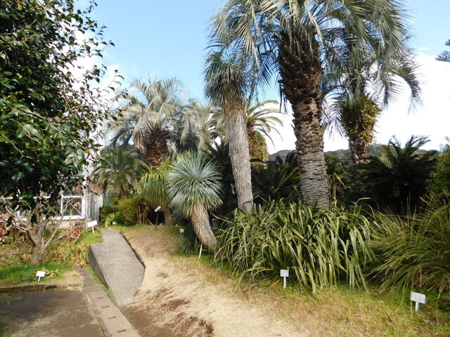 DSCN3993.JPG