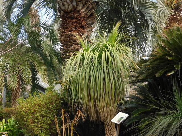 DSCN3996.JPG