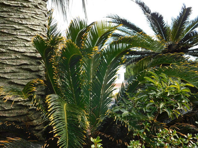 DSCN4001.JPG