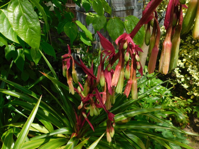 DSCN4007.JPG