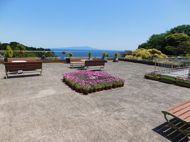 DSCN4030.JPG