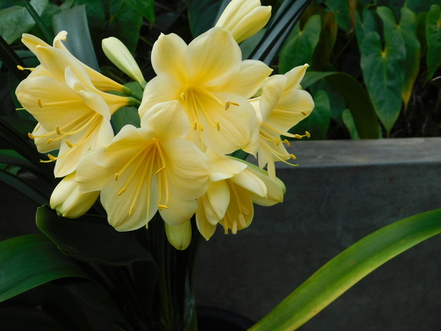DSCN4033.JPG