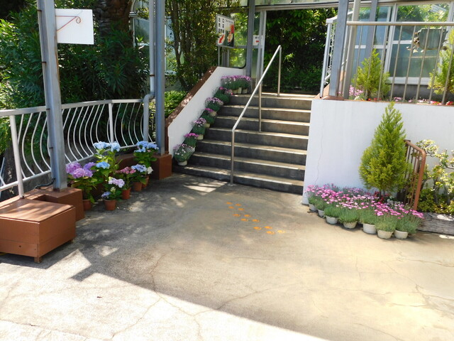DSCN4035.JPG