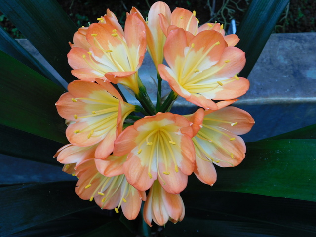 DSCN4038.JPG